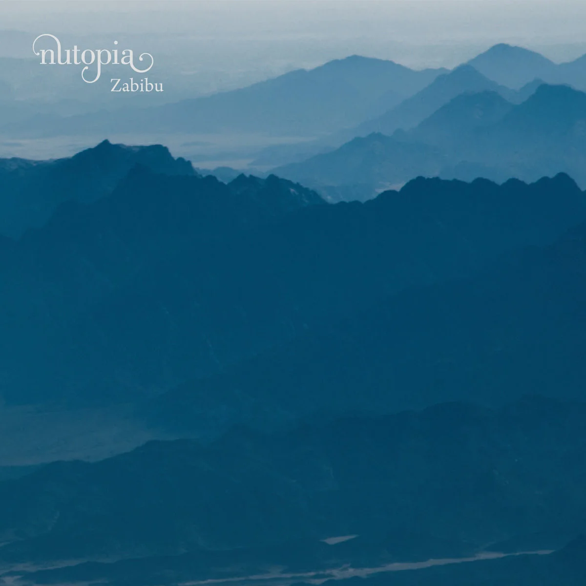 Web_Acorn Design_Nutopia_02.jpg