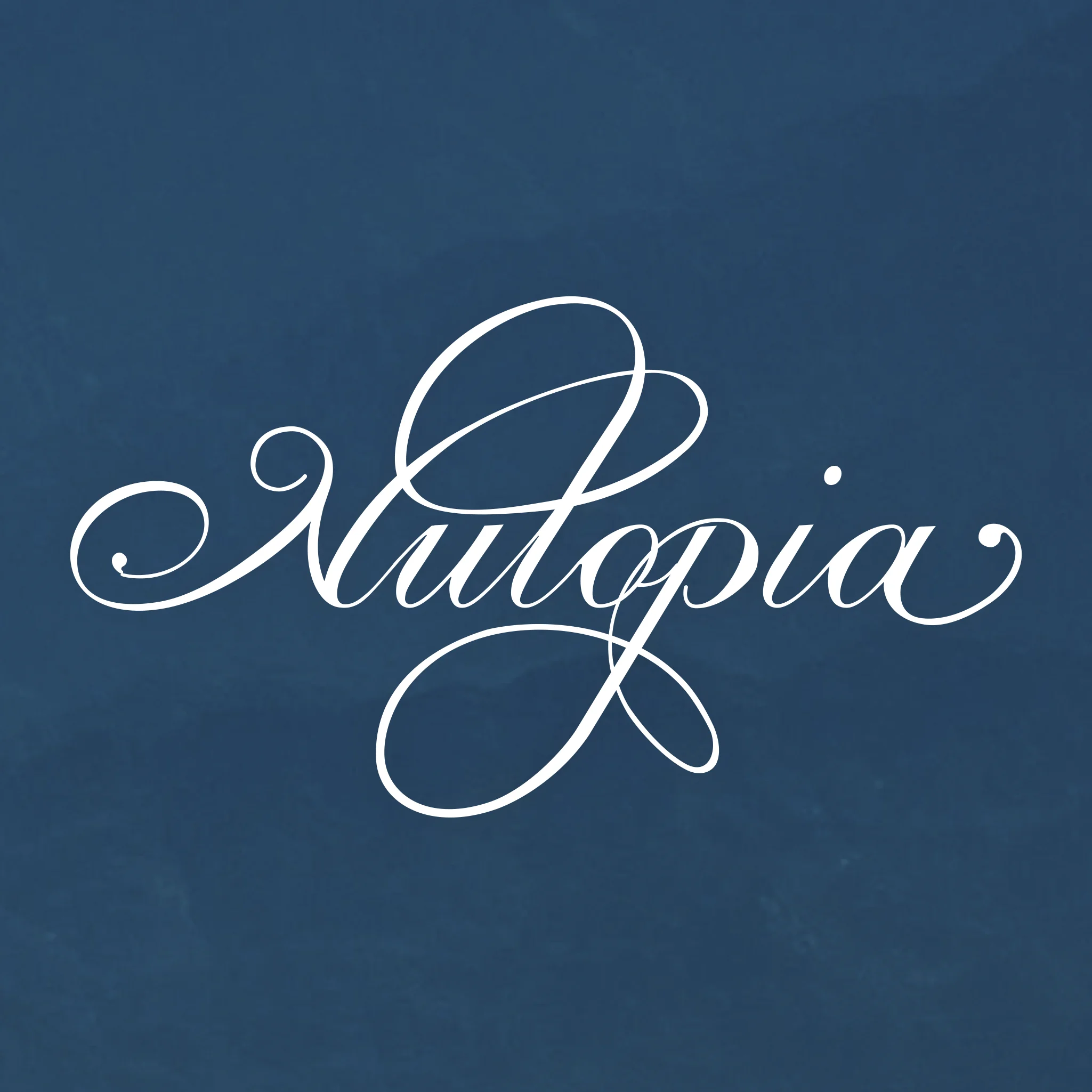 Web_Acorn Design_Nutopia_04_square.jpg