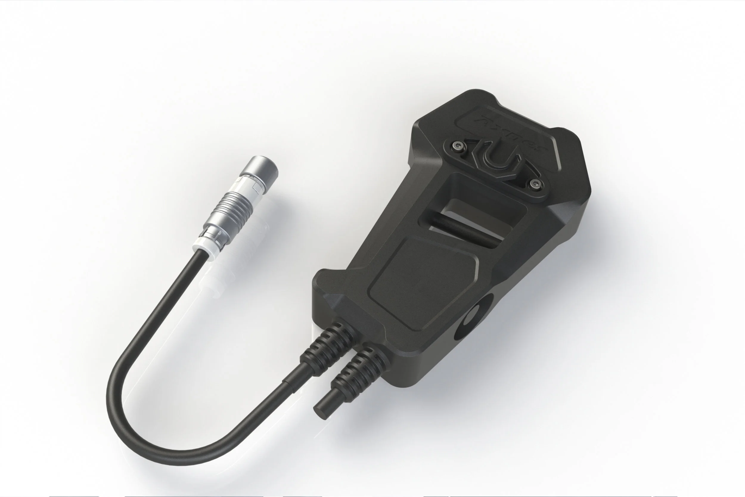 Web_Acorn Design_Axnes_03.jpg