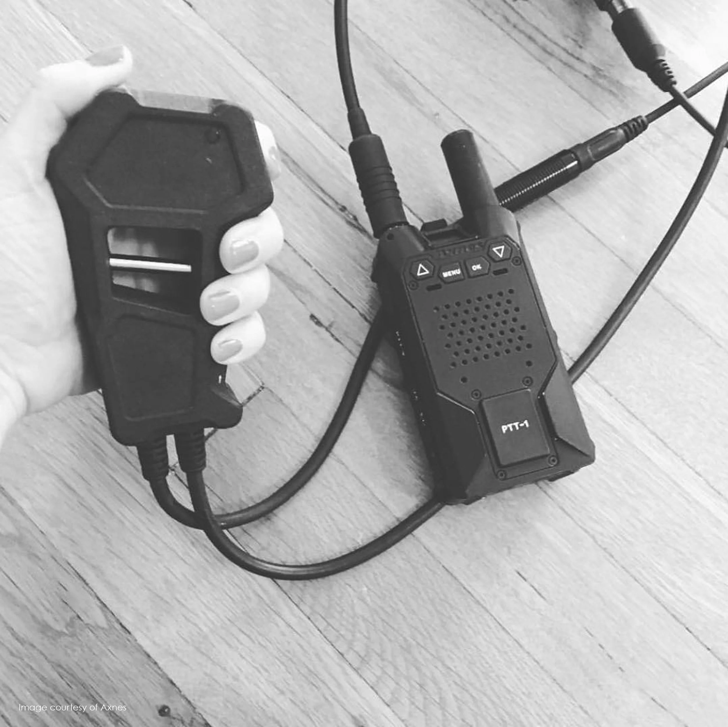 Web_Acorn Design_Axnes_07.jpg