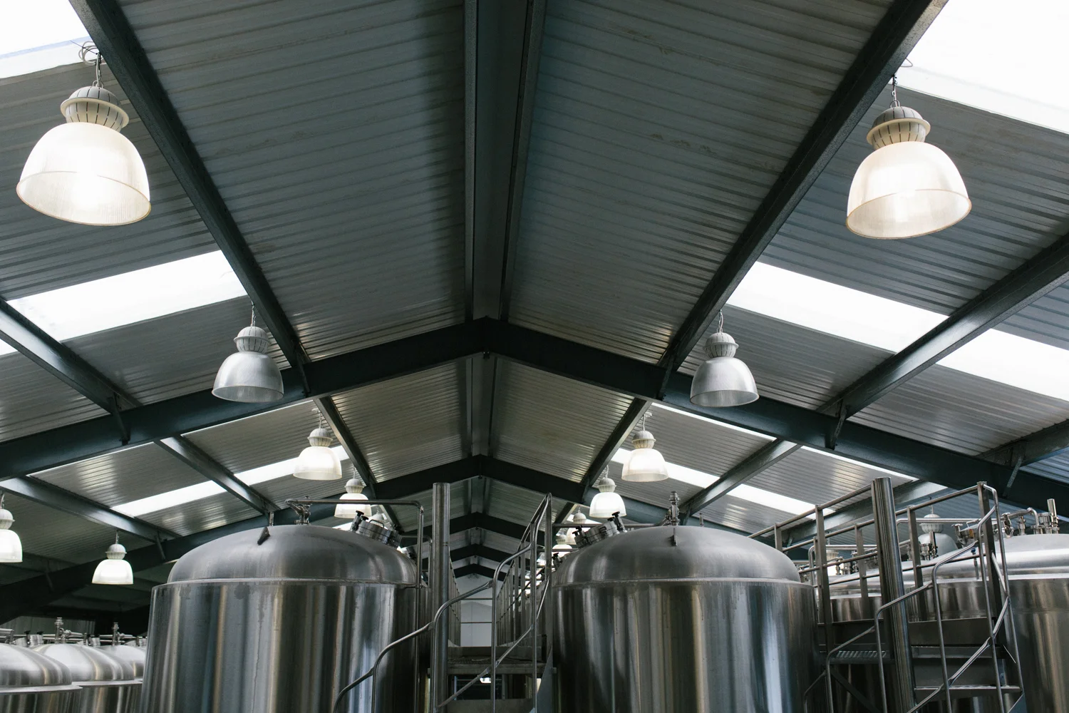 thornbridge-5099.jpg