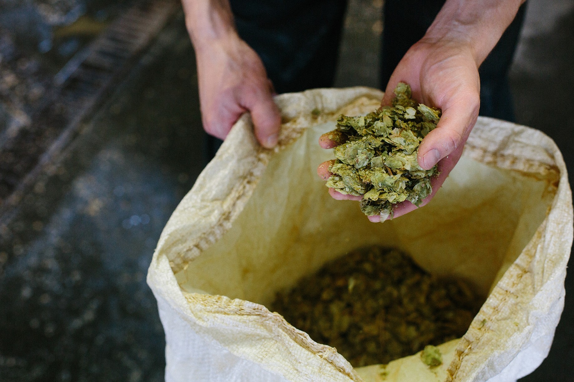 Thornbridge Brewery,