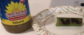 Ants on a Log.jpeg