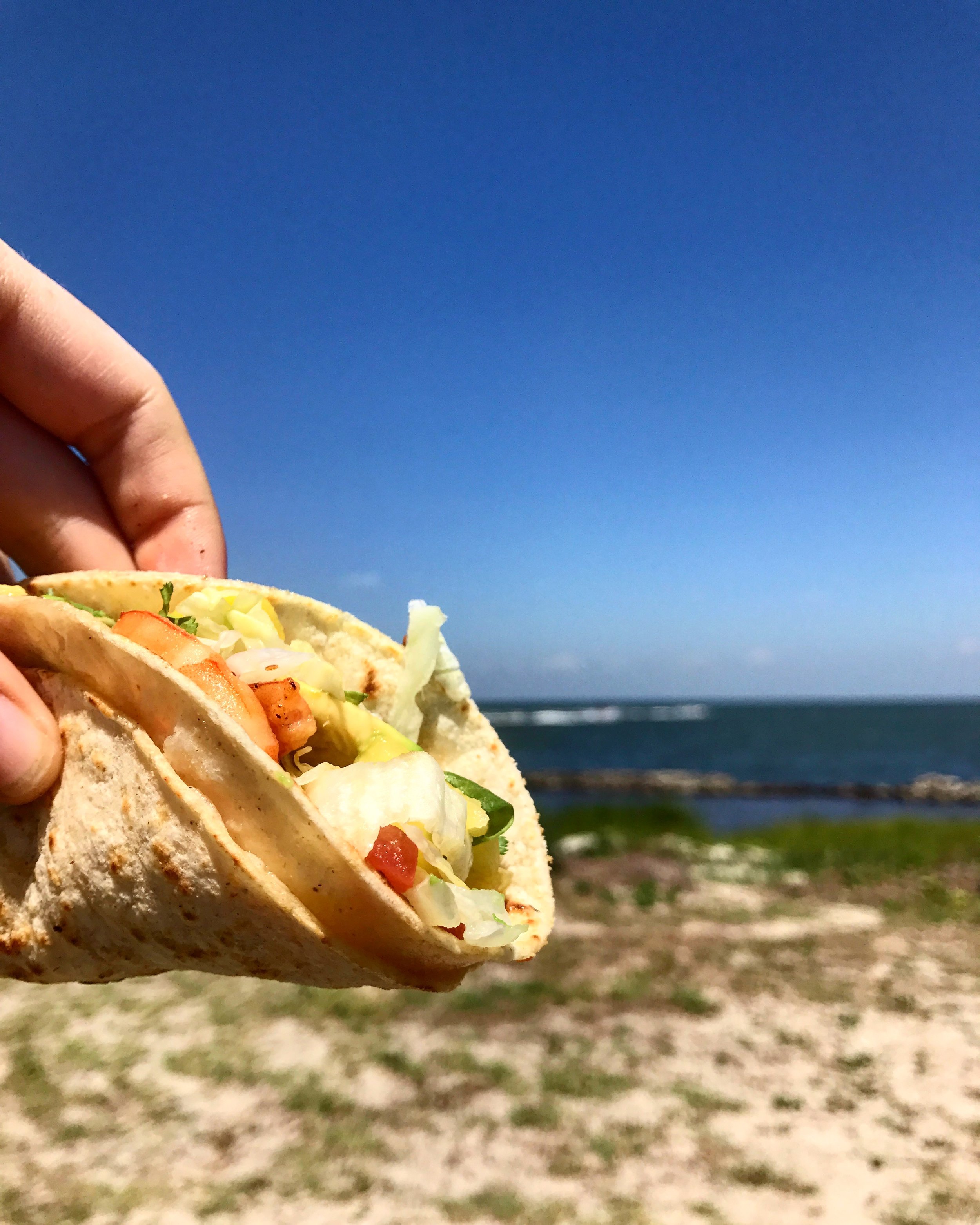 Fish taco break time.