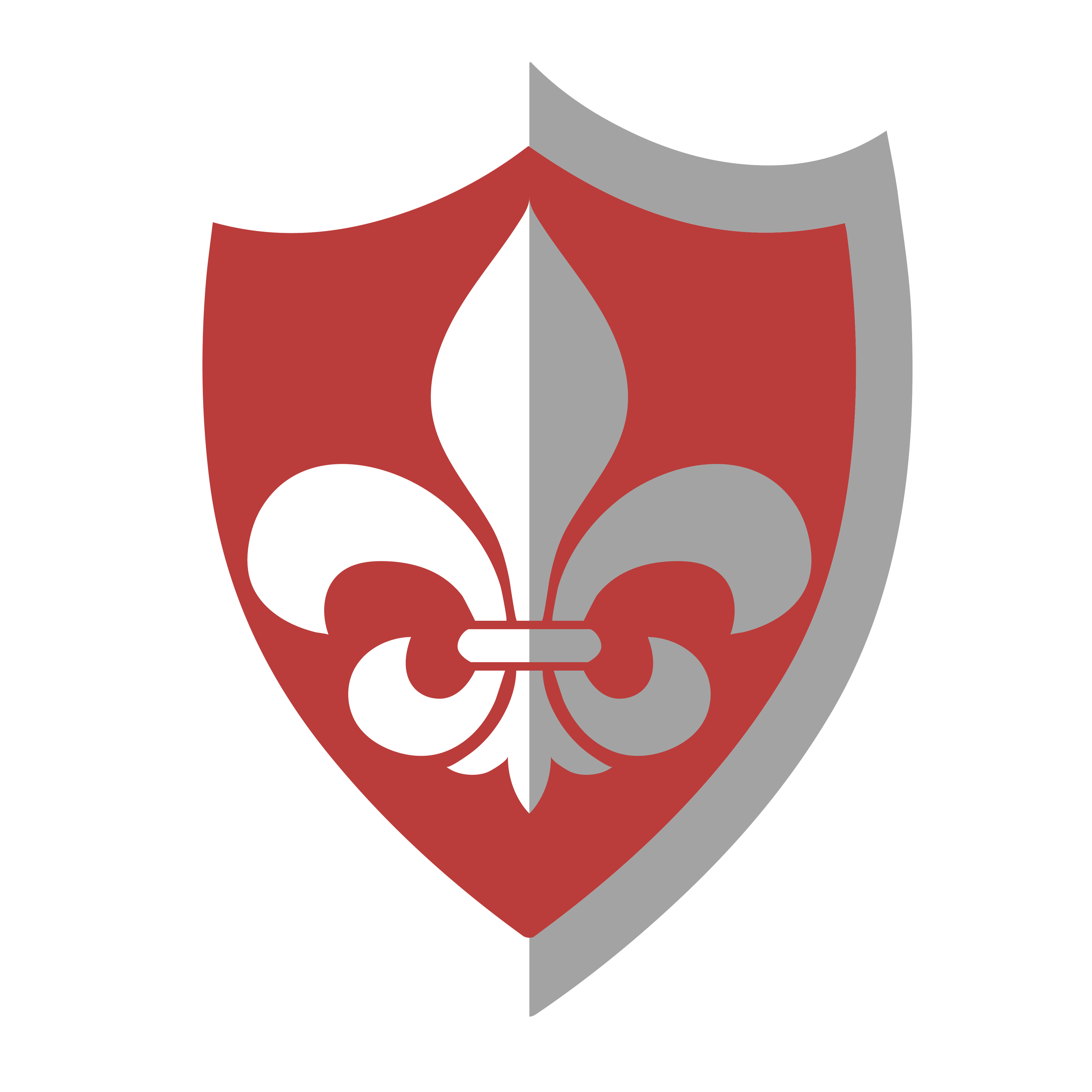 SA St. Louis Crusaders Flag