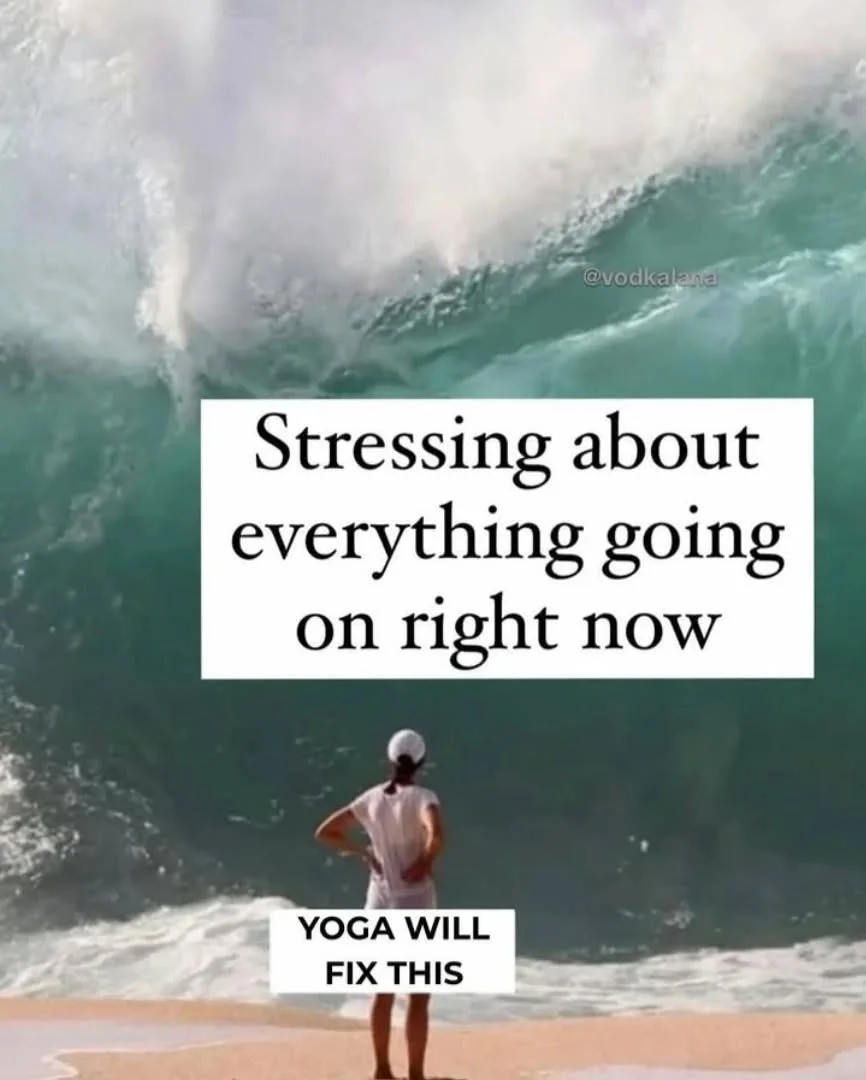 True 🙌🥰 Join us, check September classes at www.iyengaryogaporto.com or send email to iyengarporto@gmail.com 🙏
.
.
.
.
.
.
.
#repost @yogiflightschool 
#yoga #iyengaryoga #iyengaryogaporto #iyengaryoga_leonor #bksiyengar #patanjali #yogaonline #yo