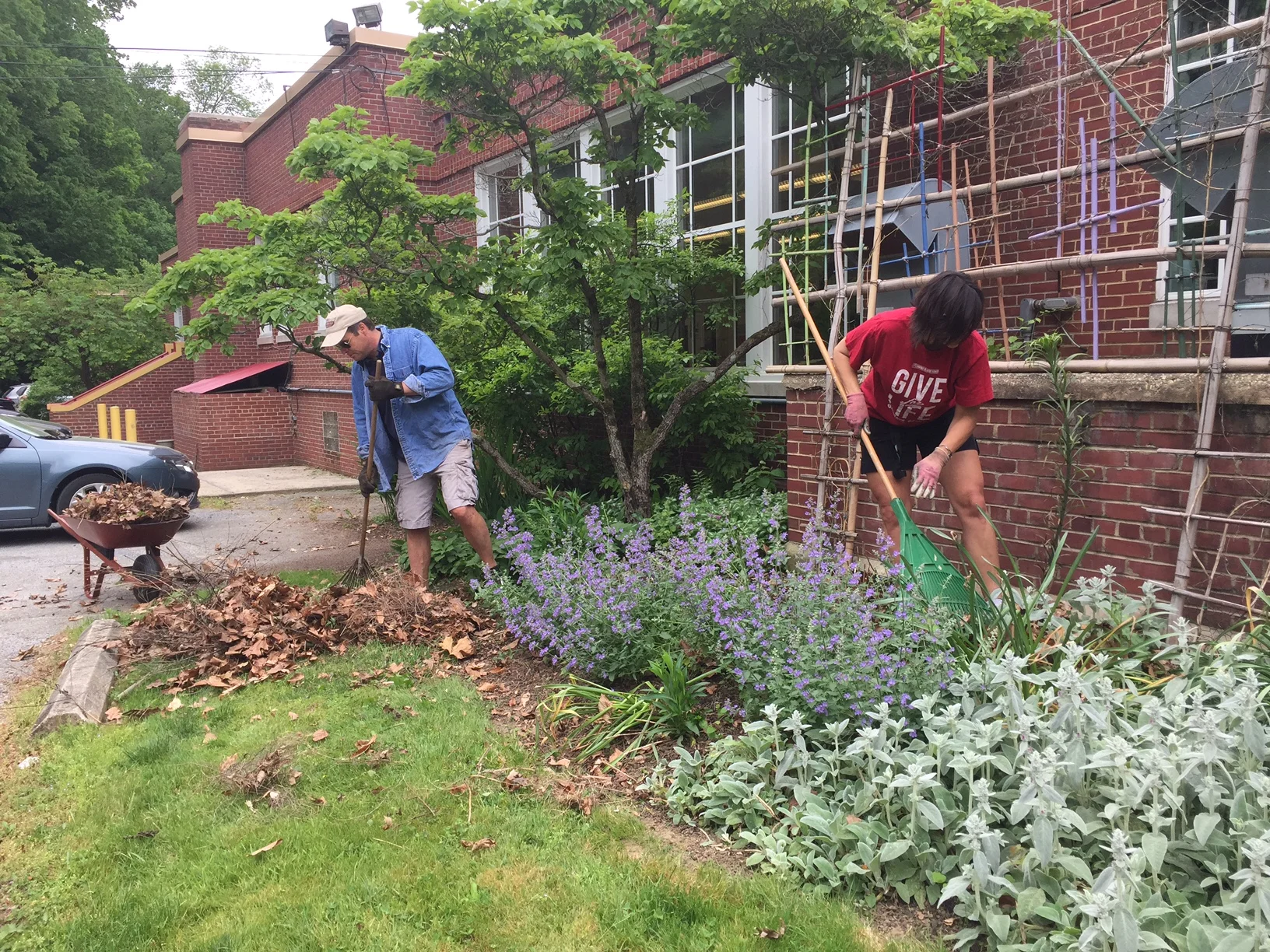 CCArts Clean Up Day