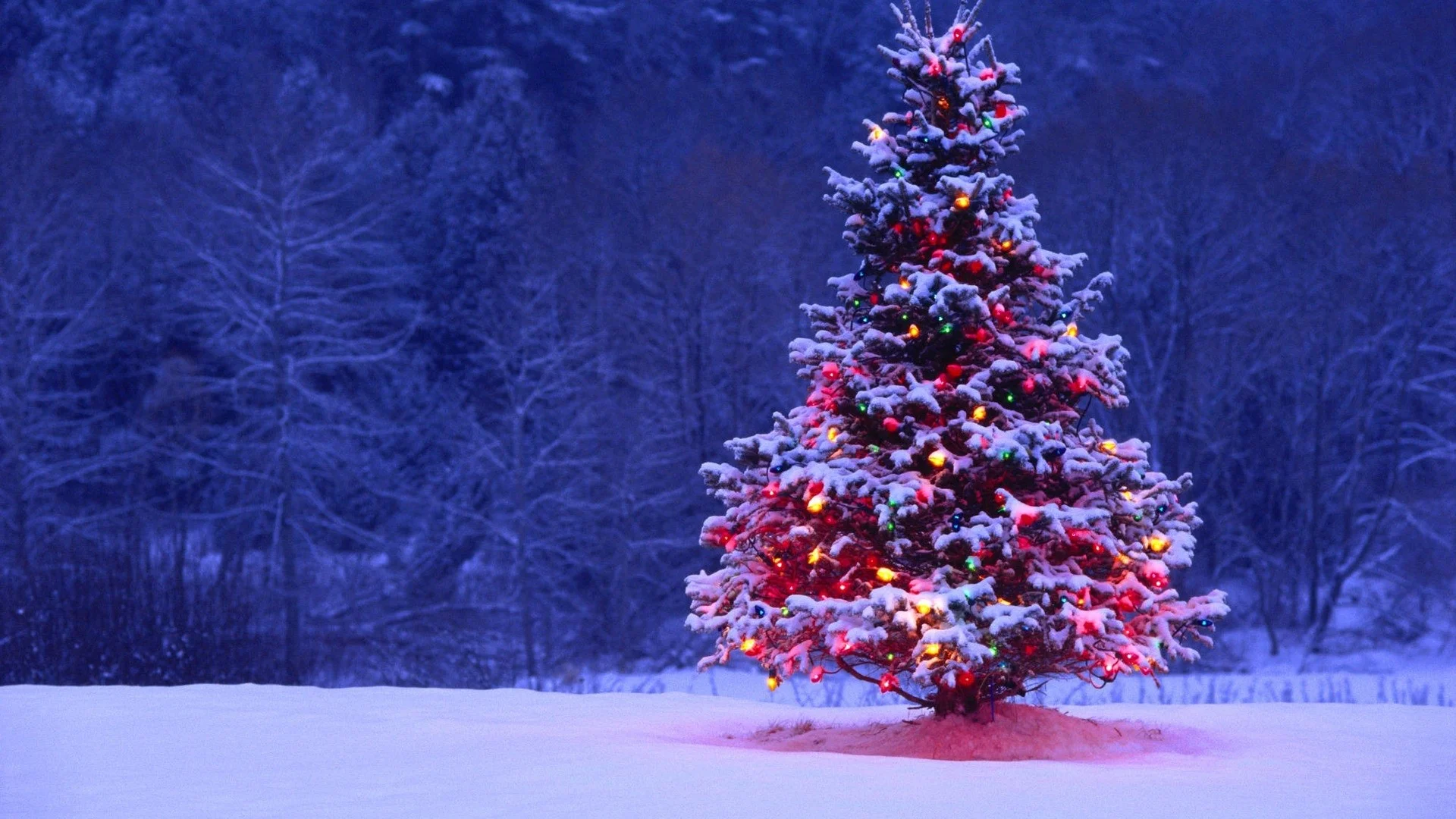 Merry Christmas!