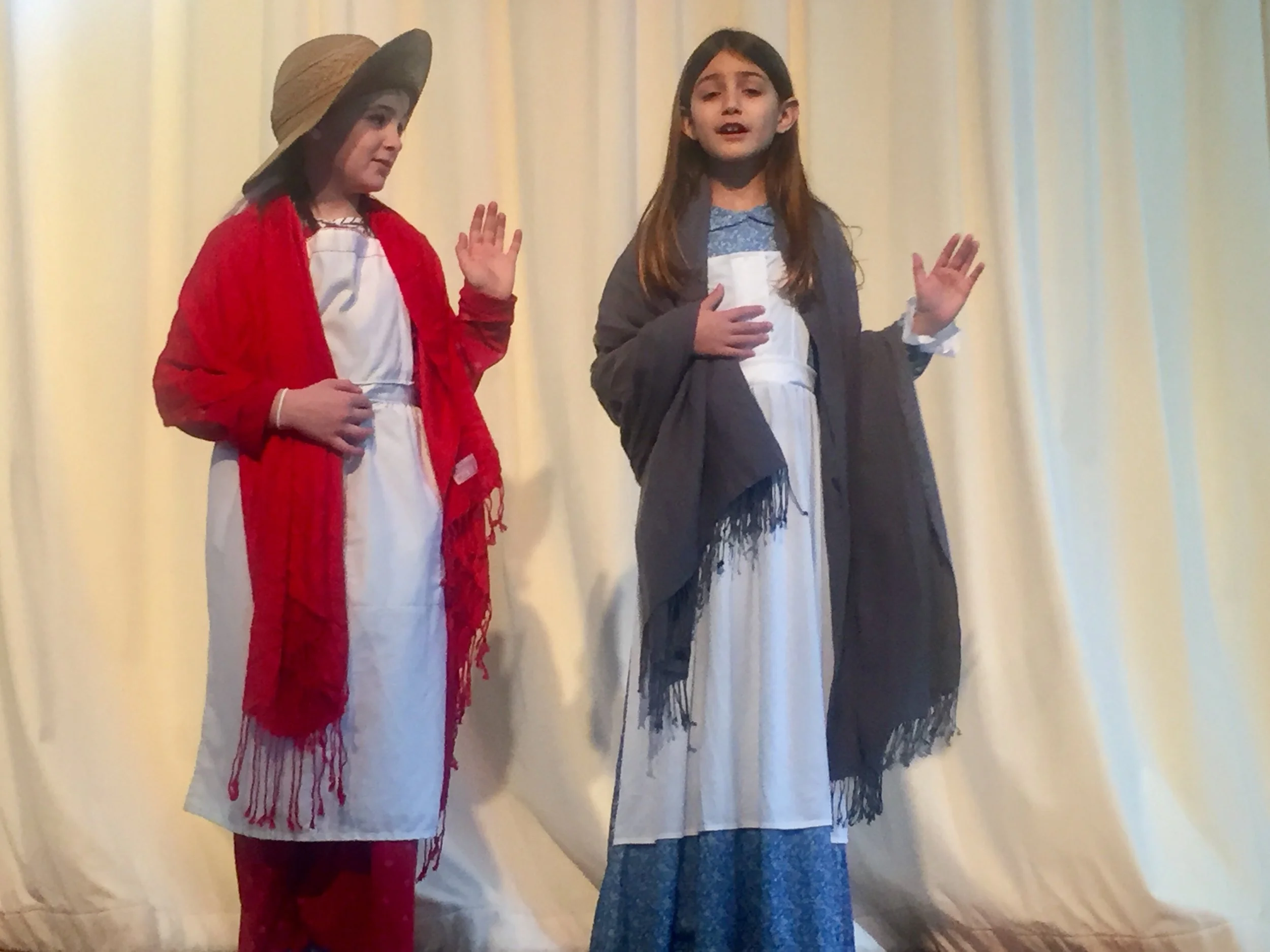 Homeschool "Anne of Green Gables"
