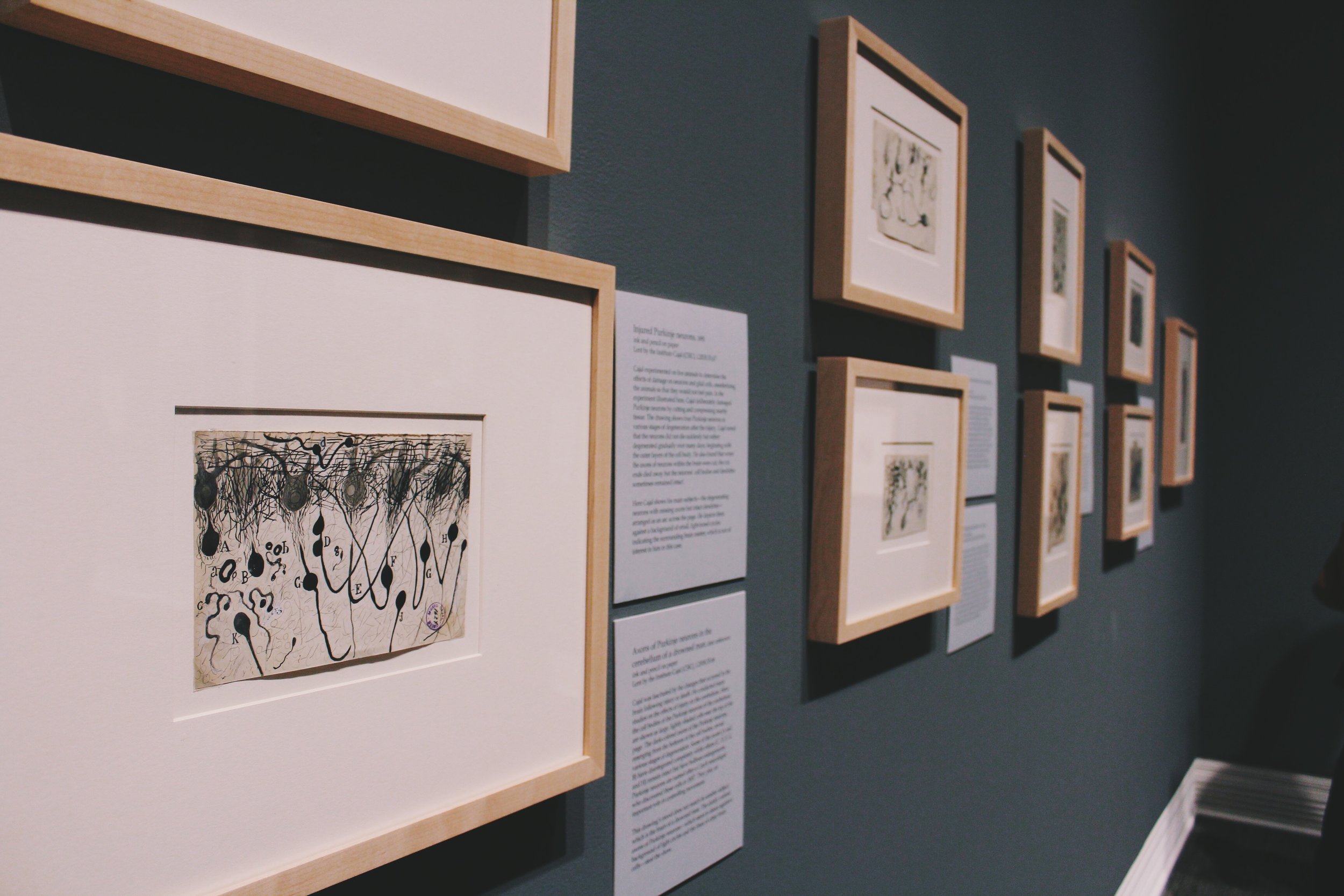 Annual Regional Exhibition (Virtual!)