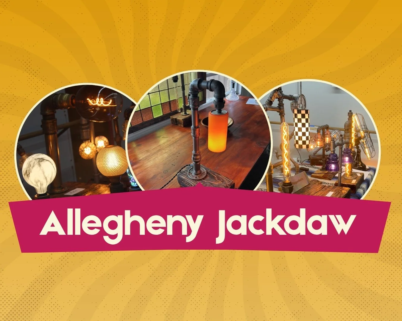 Allegheny Jackdaw.jpg