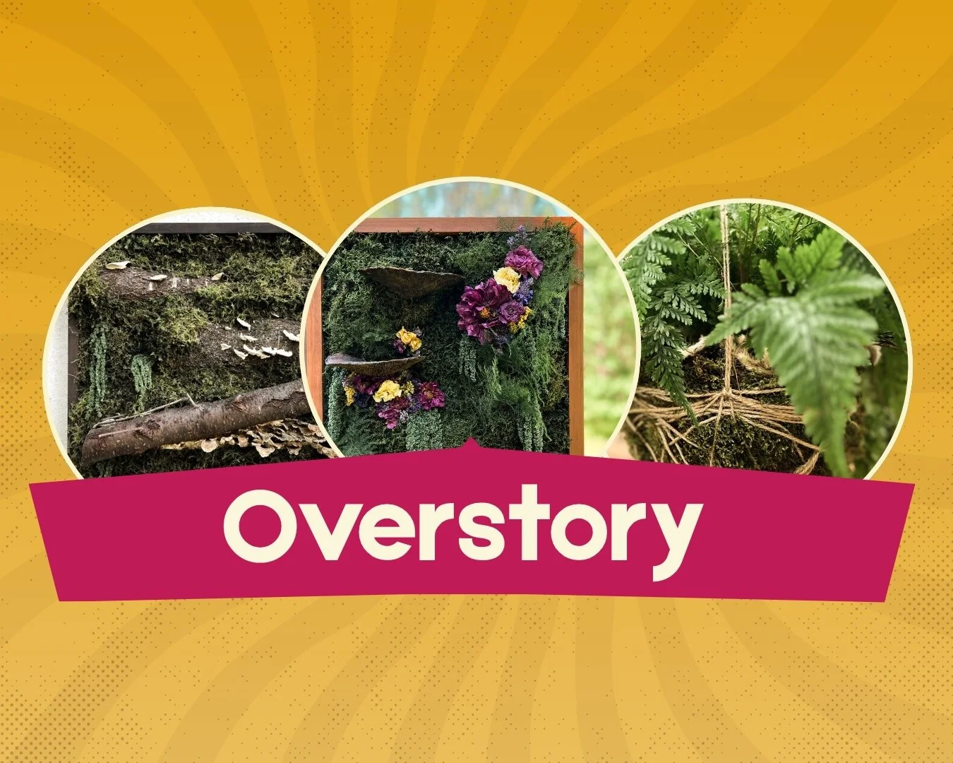 Overstory.jpg
