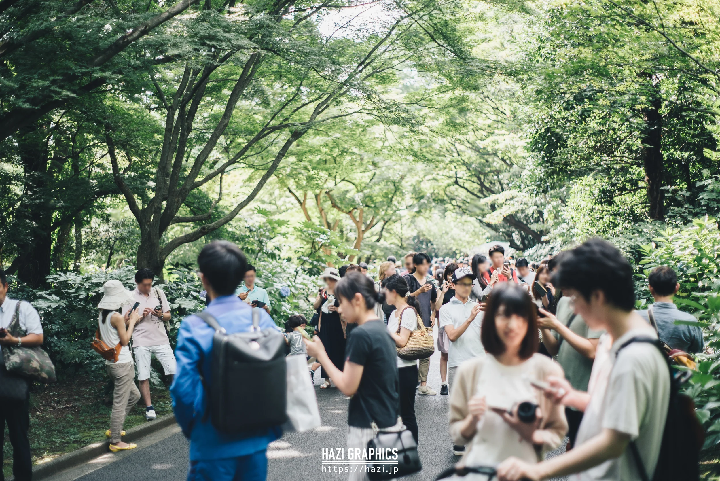 野生のポケモントレーナーを撮ってきた Pokemongo ポケモンgo Hazi