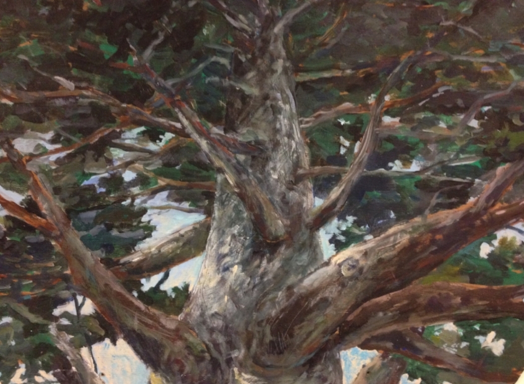 POP's TREE