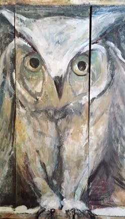 PAUL'S OWL