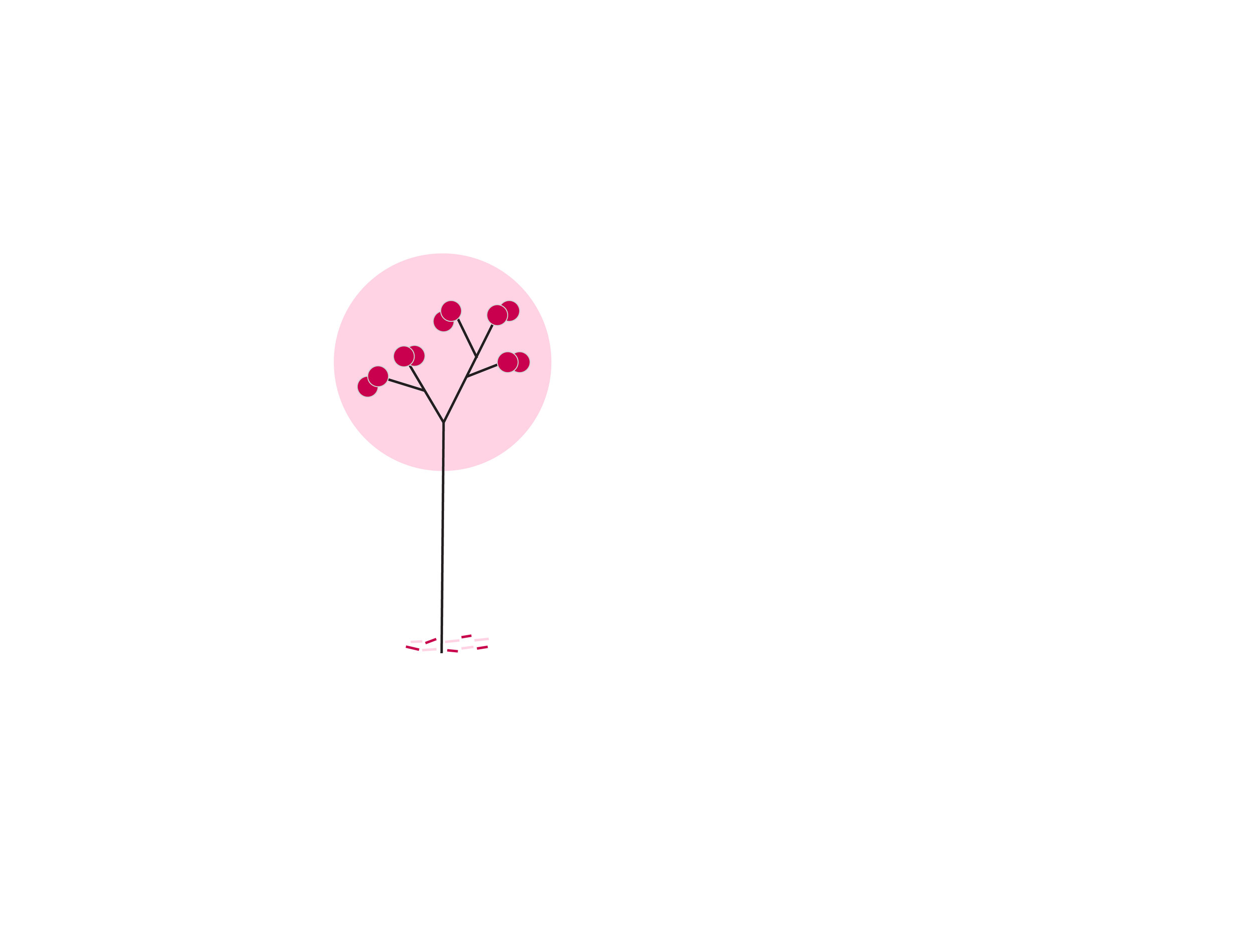 Home-Page-Banner-CherryTree-Off-Center.jpg