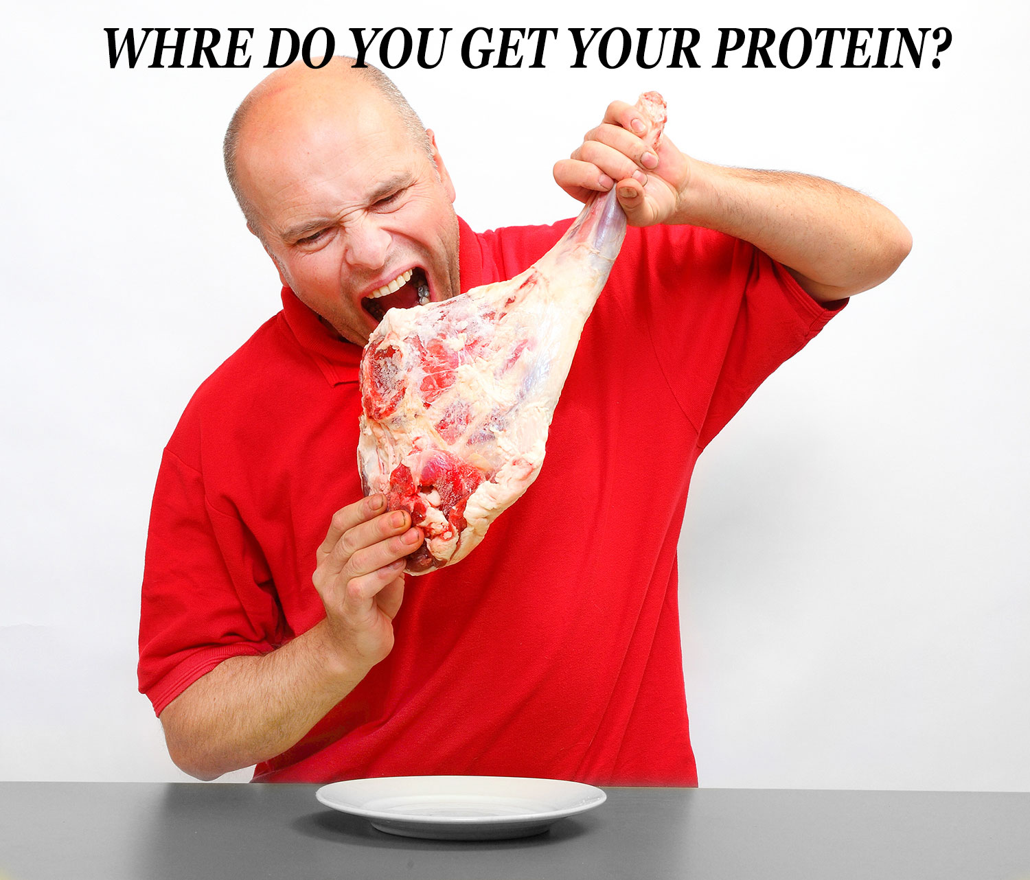 The Fascinating Thing About Protein