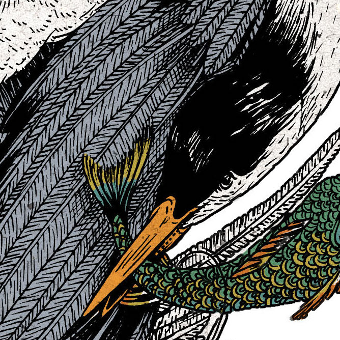 birds_spread3_pg1 copy.jpg