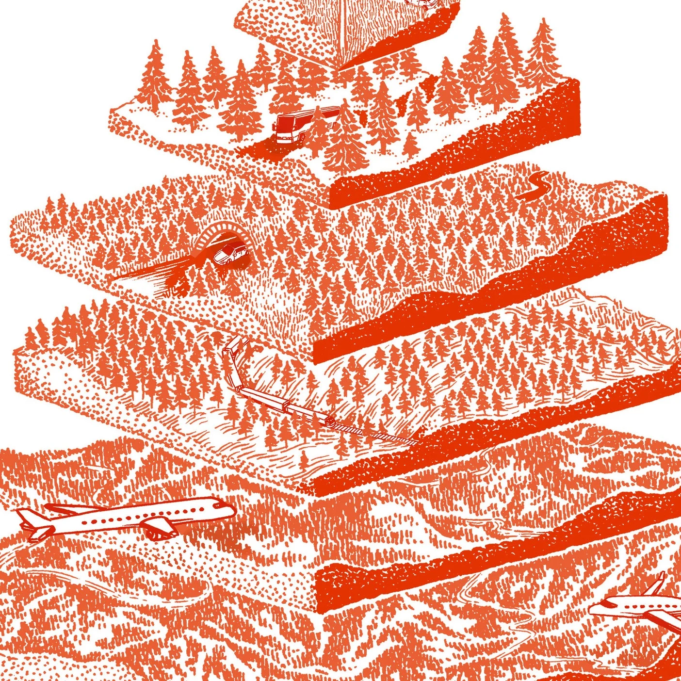 carbonforest_color.jpg