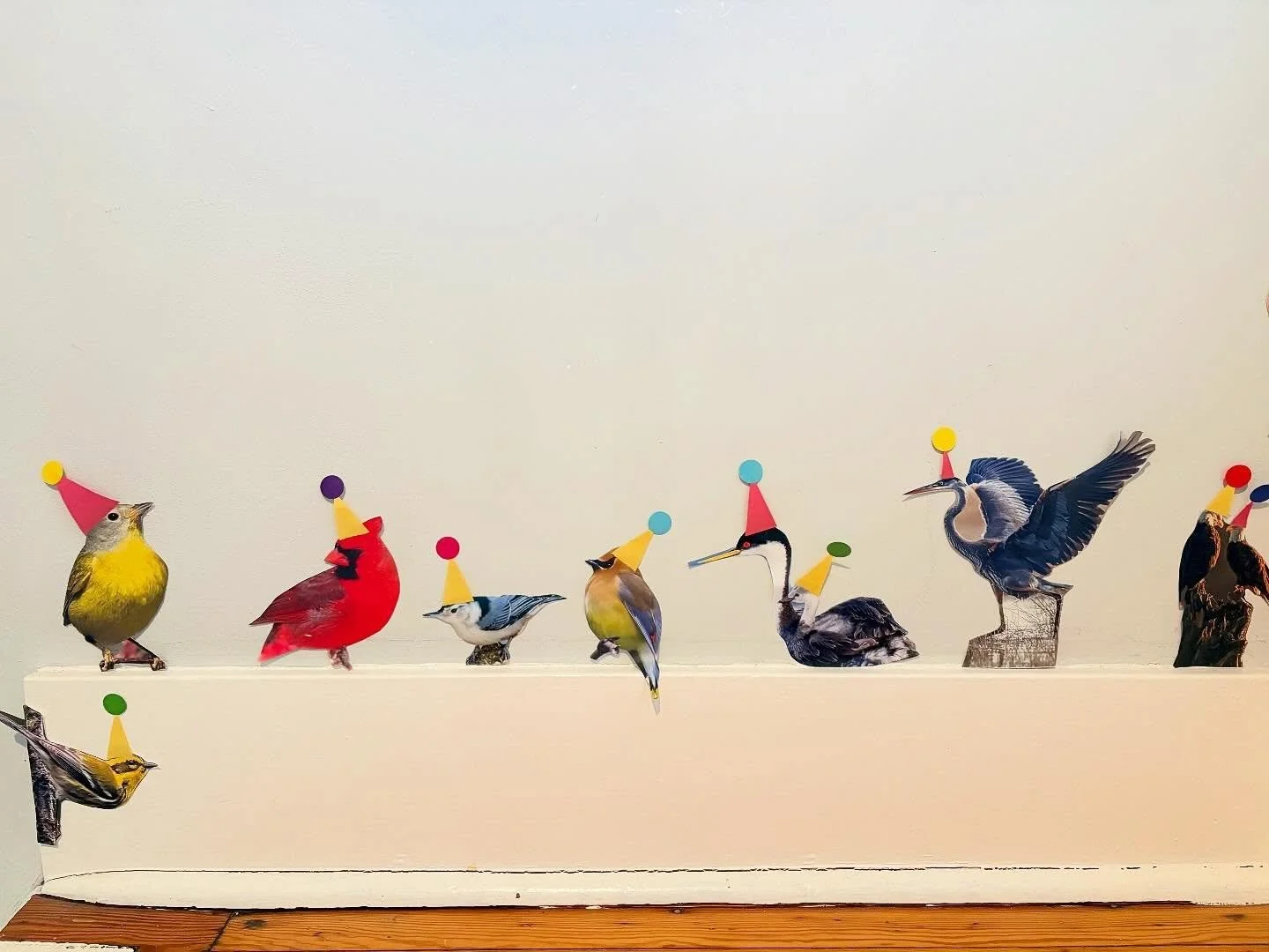 &ldquo;What kind of decorations would you like for your birthday?&rdquo; 

&ldquo;Bird decorations.&rdquo;

&ldquo;What kind of birds?&rdquo;

&ldquo;All of them.&rdquo; 

Thanks for the calendars @audubonsociety 💛