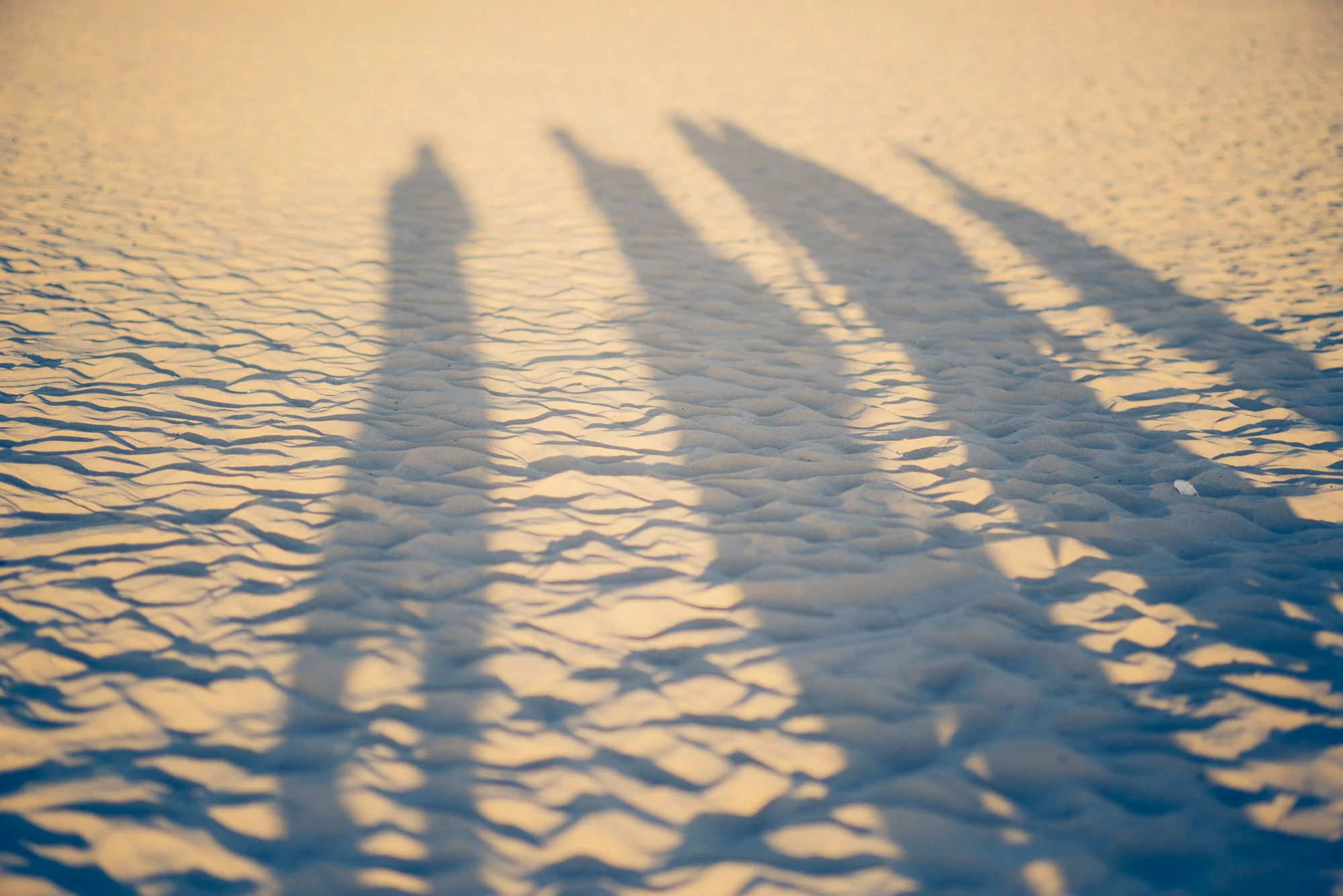 20150823_EmilyVenice_009.jpg