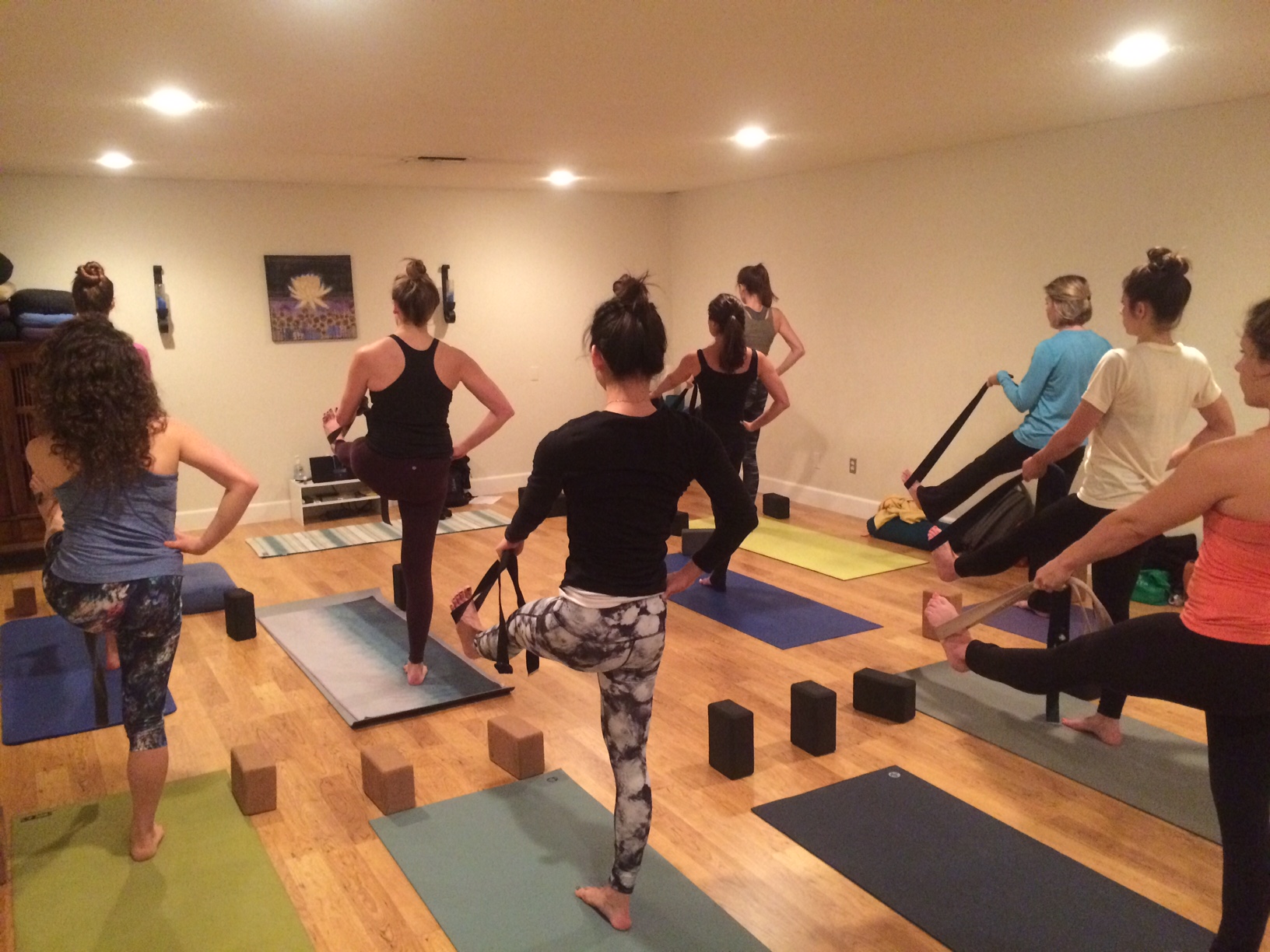 200hr Yoga Teacher Trainees