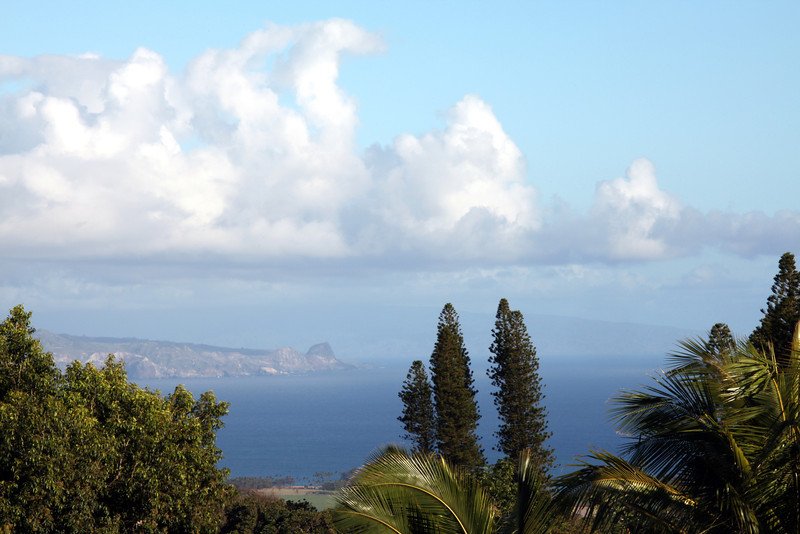 Ocean View | Yoga Retreat | Maui