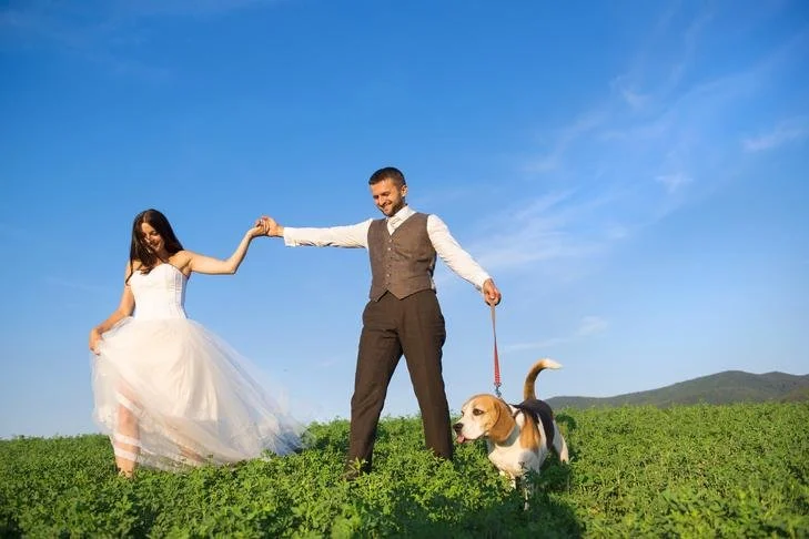 Wedding Bells and Wagging Tails: Crafting the Perfect Pet-Inclusive Celebration