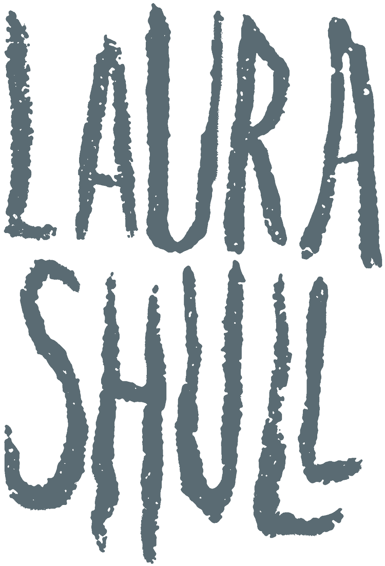 LAURA SHULL | fine art