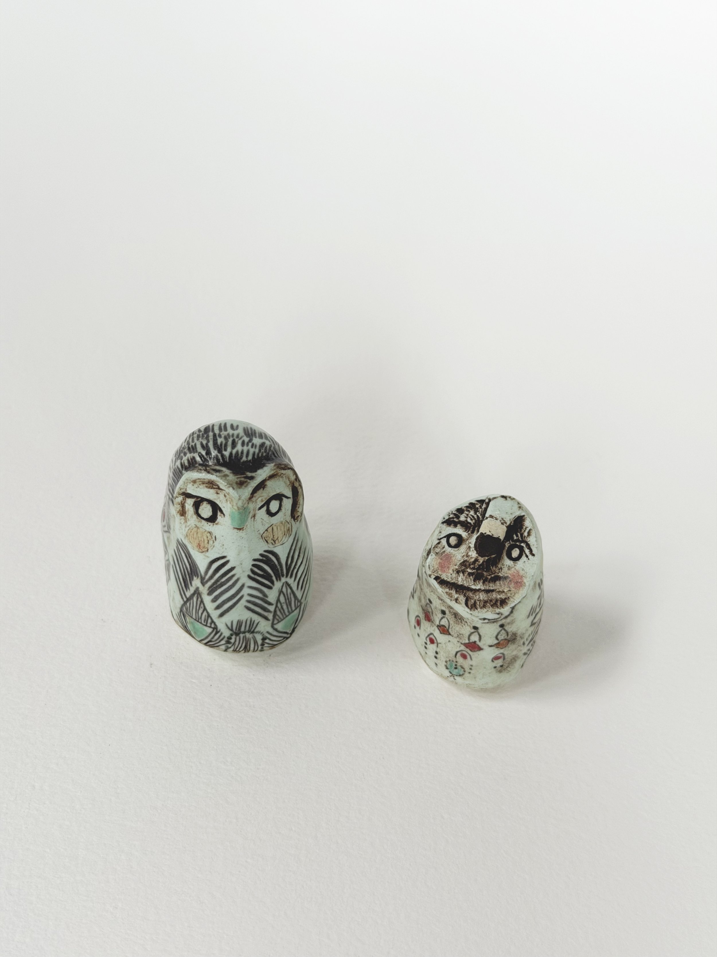 coot.jpg