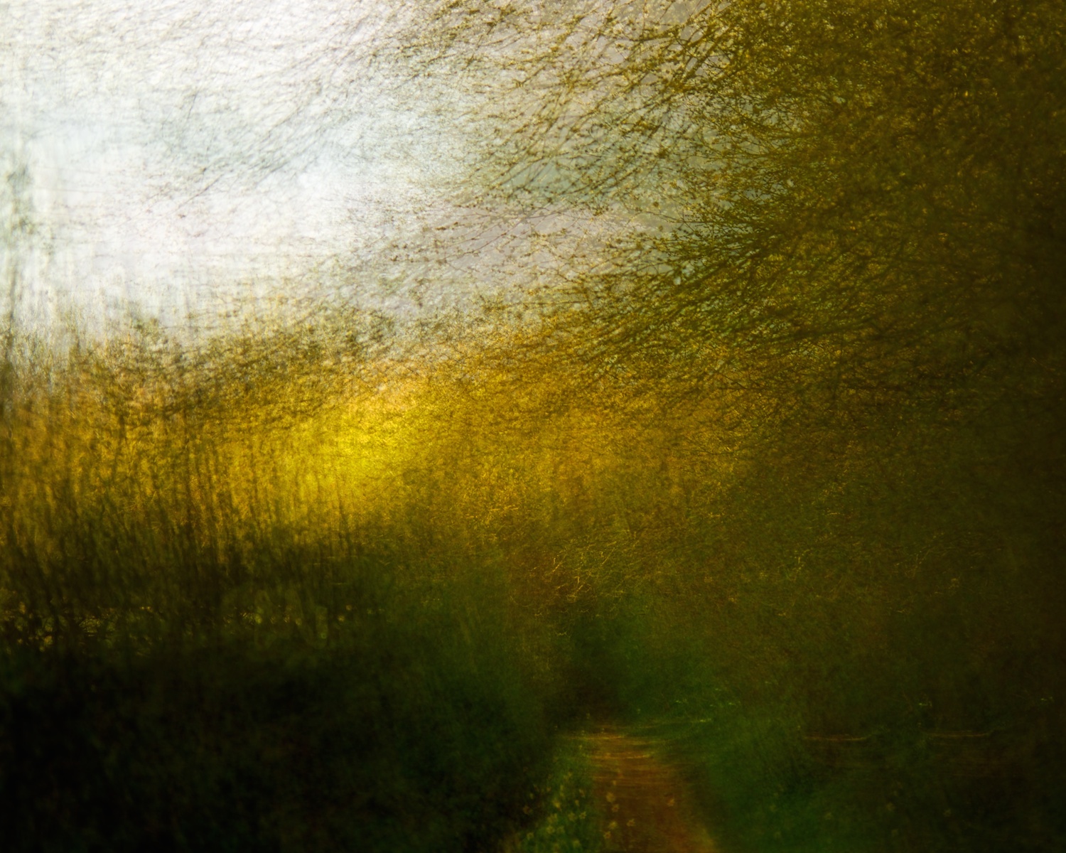 Footpath bathed in late spring sunshine
