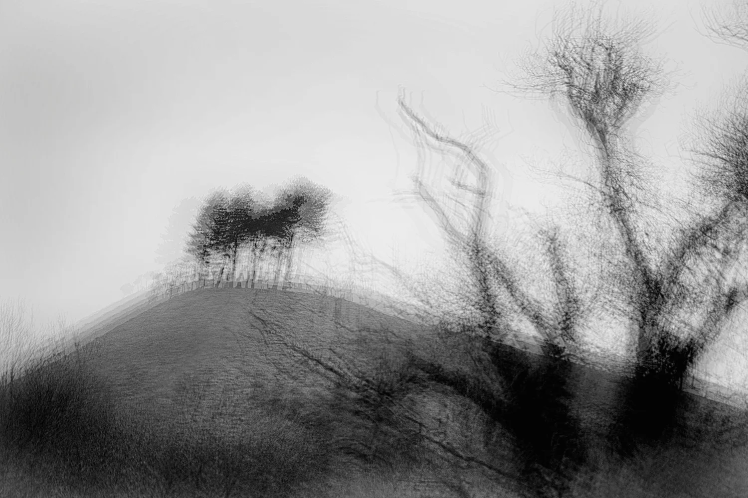 Colmers hill near Bridport in Dorset.