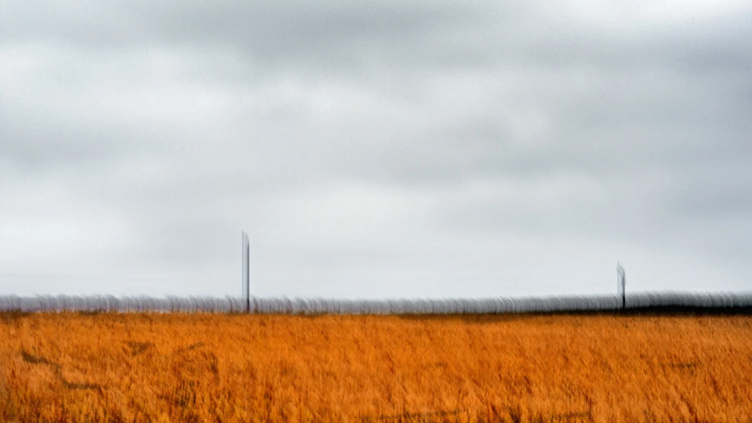 Hedgescape, Brittany.