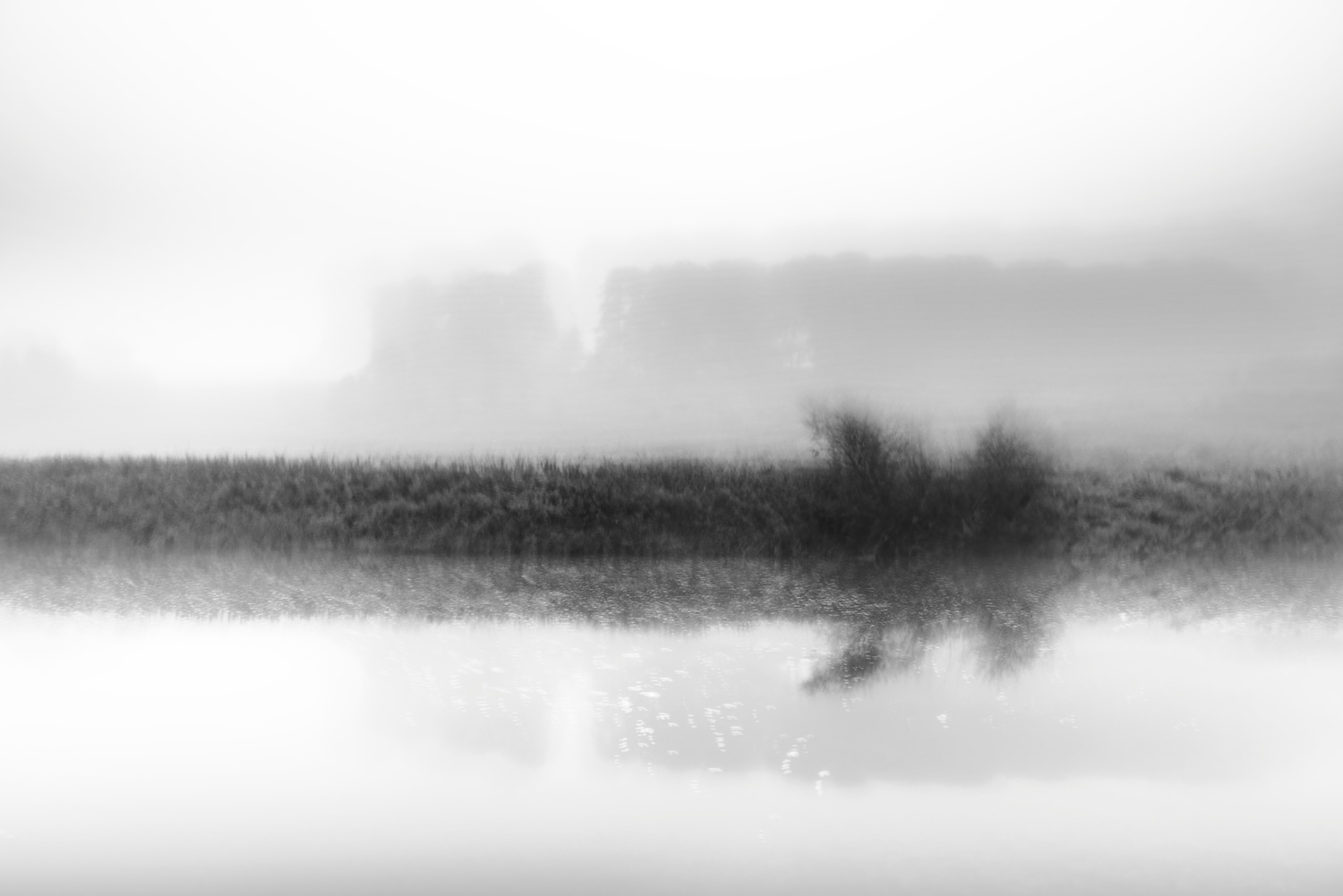 Mist hanging over the River Teviot in the Scottish Borders.