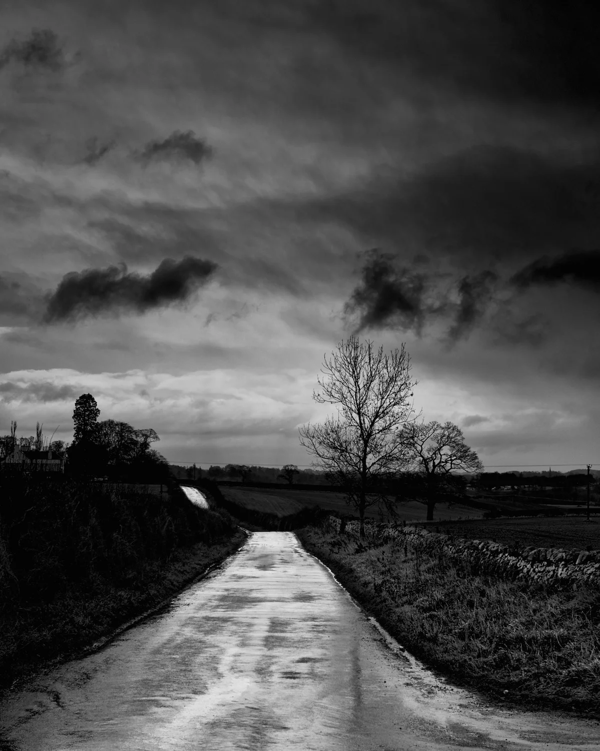 Light reflected off a twisty road after a rain shower.