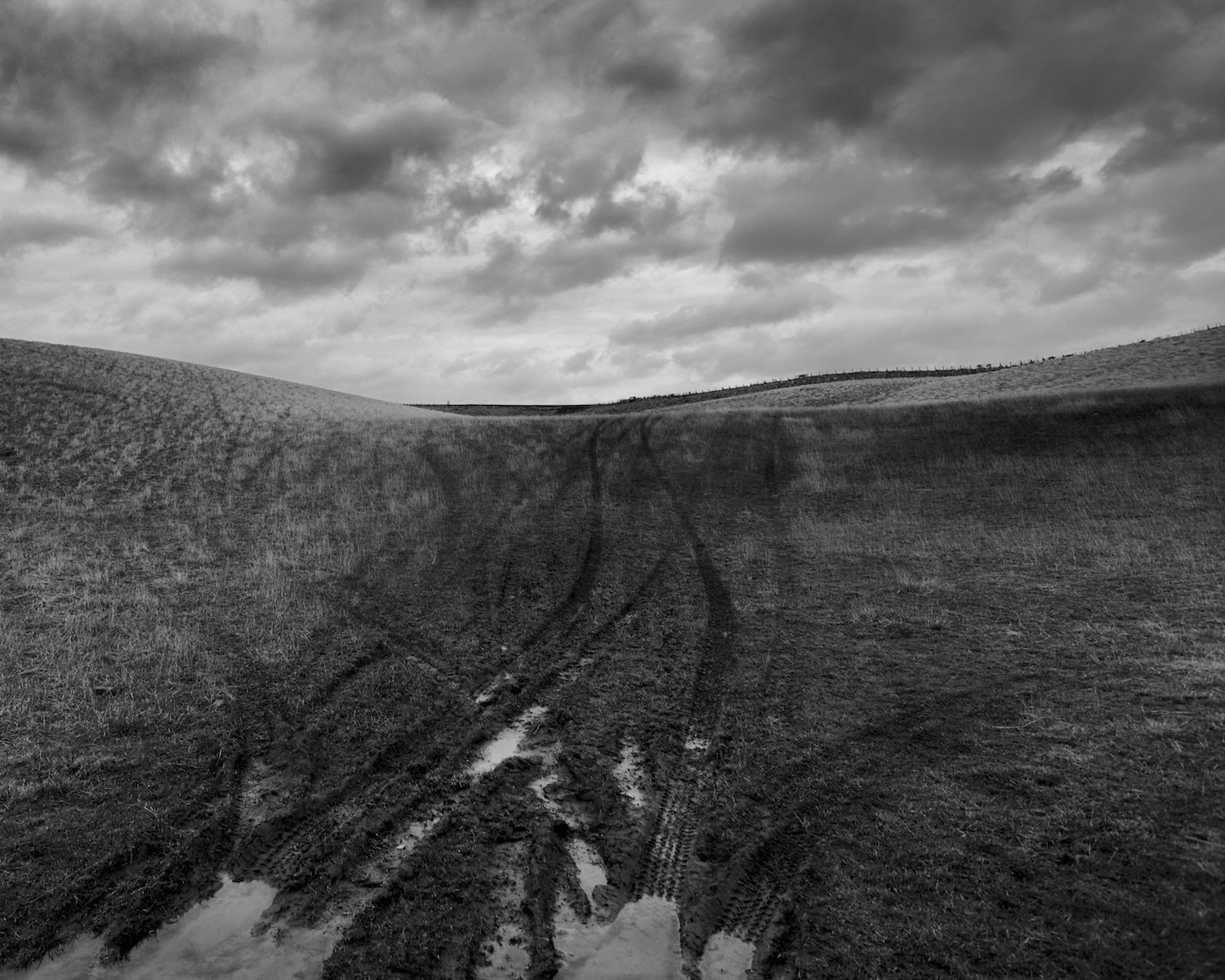 Making tracks.