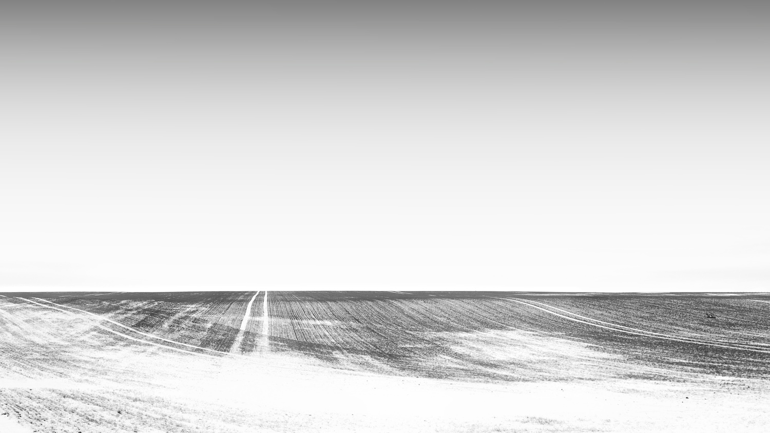 Snow field.