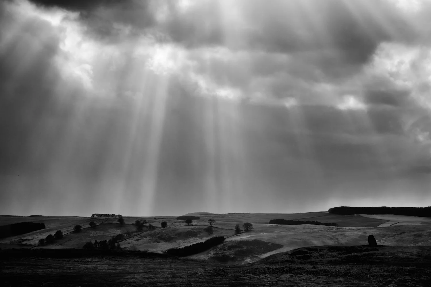 A view from Windy Law in the Cheviot Hills.