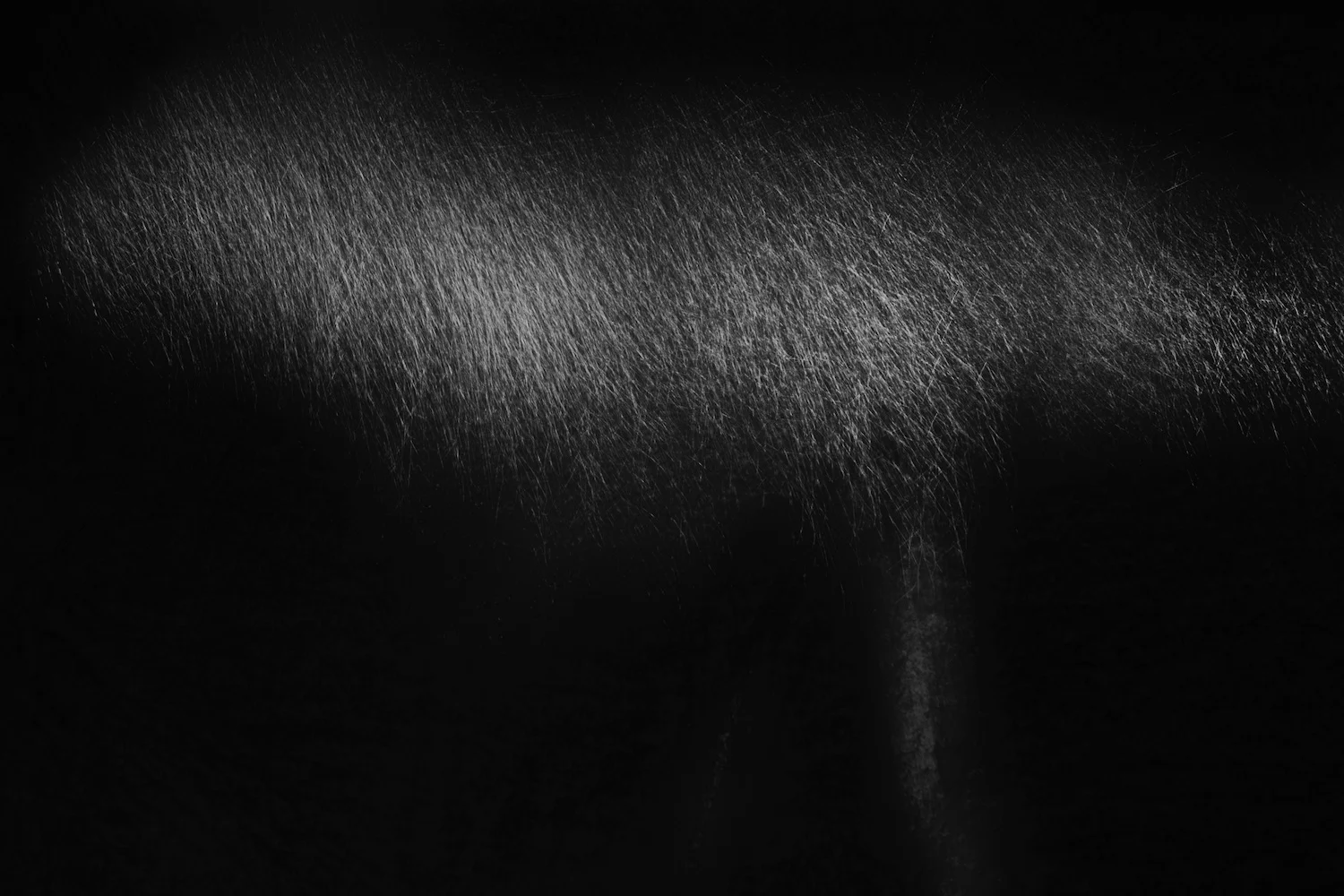  A bit of a tree. 
