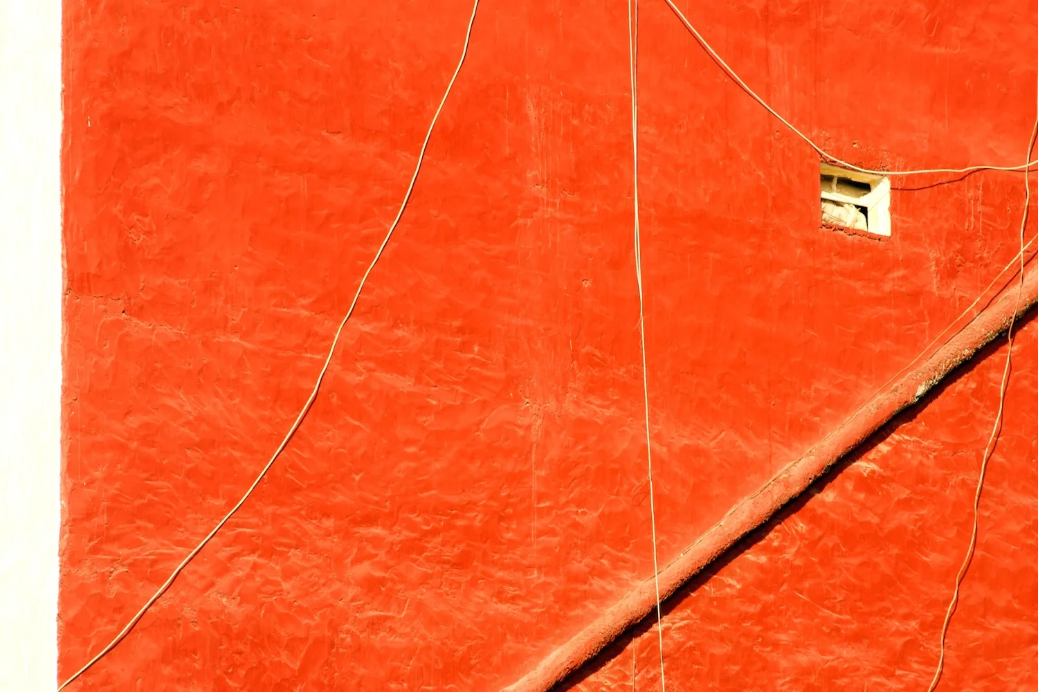 IMGP8060 copy.jpg