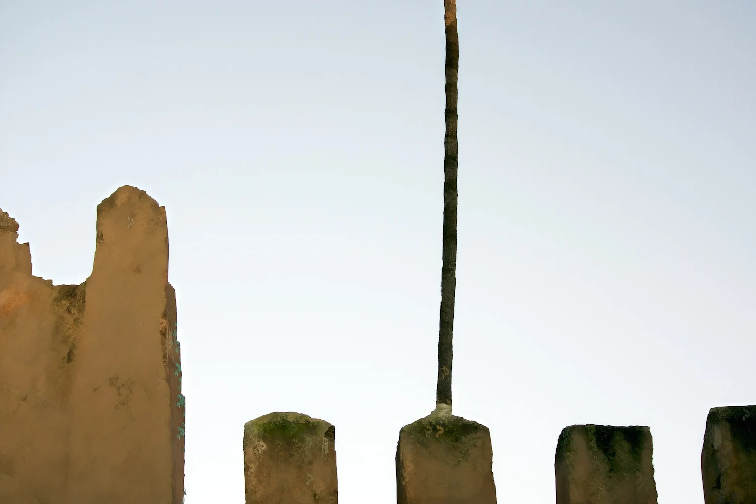 IMGP8148 - Version 2 copy.jpg