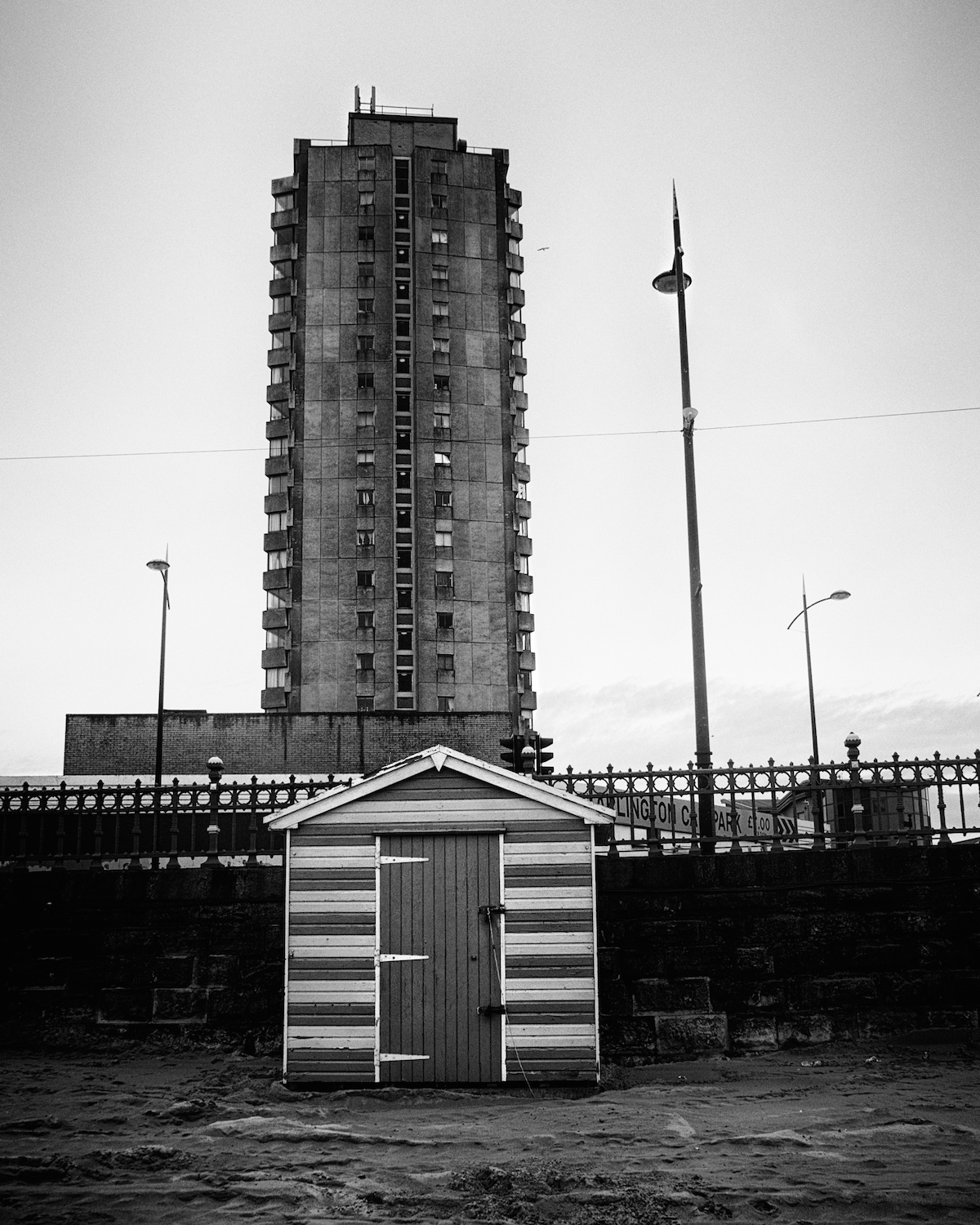 _IMG3626.jpg