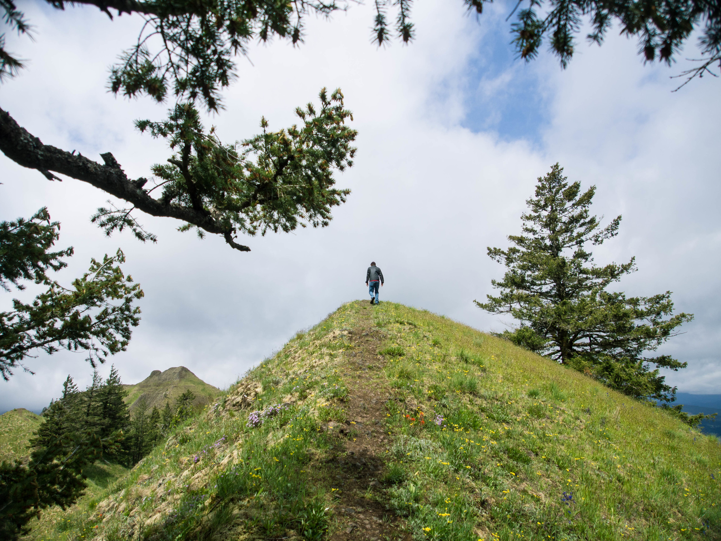 Ridgeline Explorations