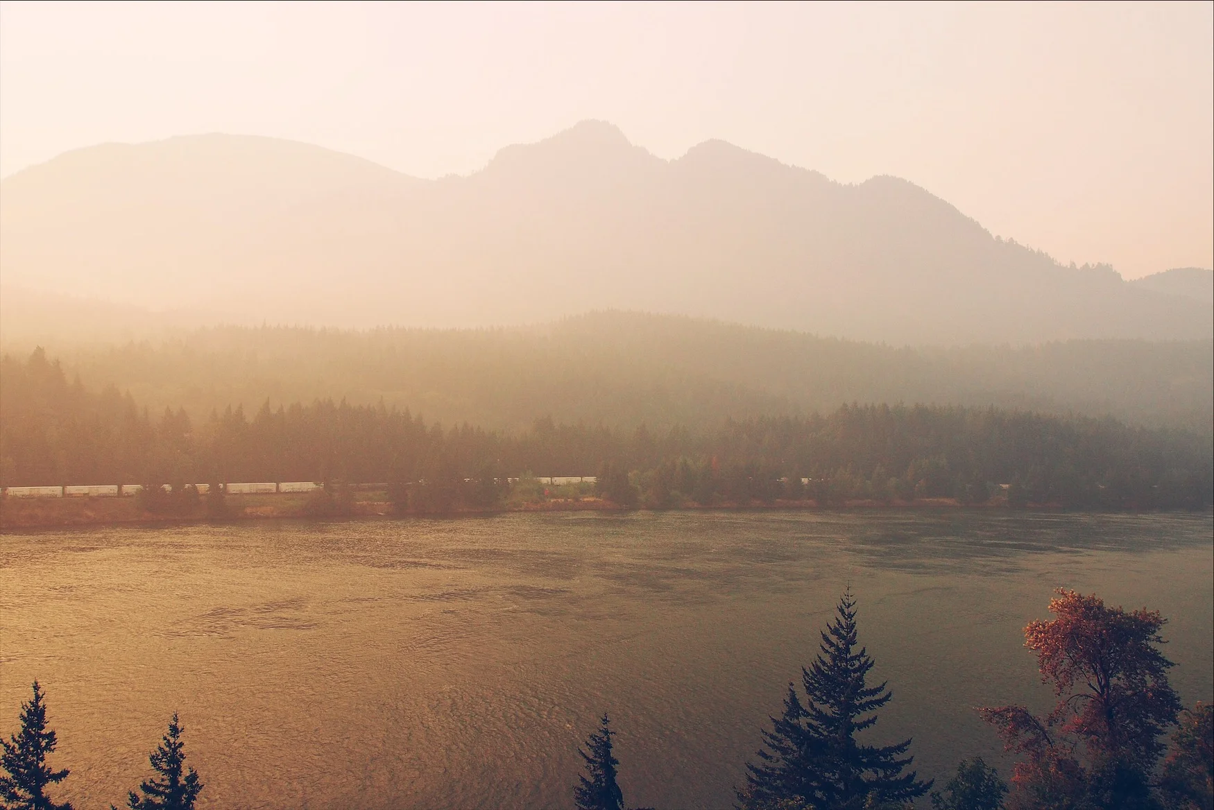 Into the Indian Heaven Wilderness