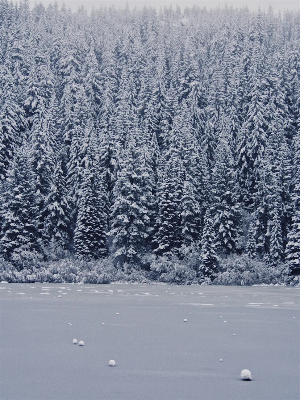 Winter Wonderland
