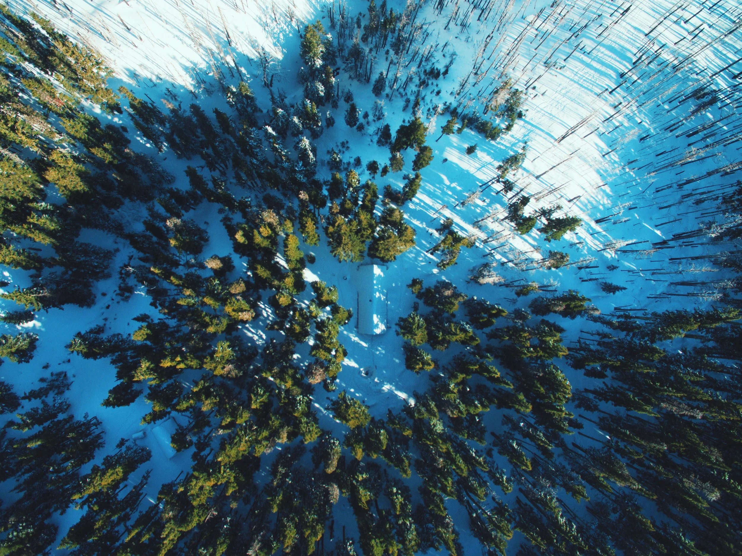 Christmas at Mount Hood
