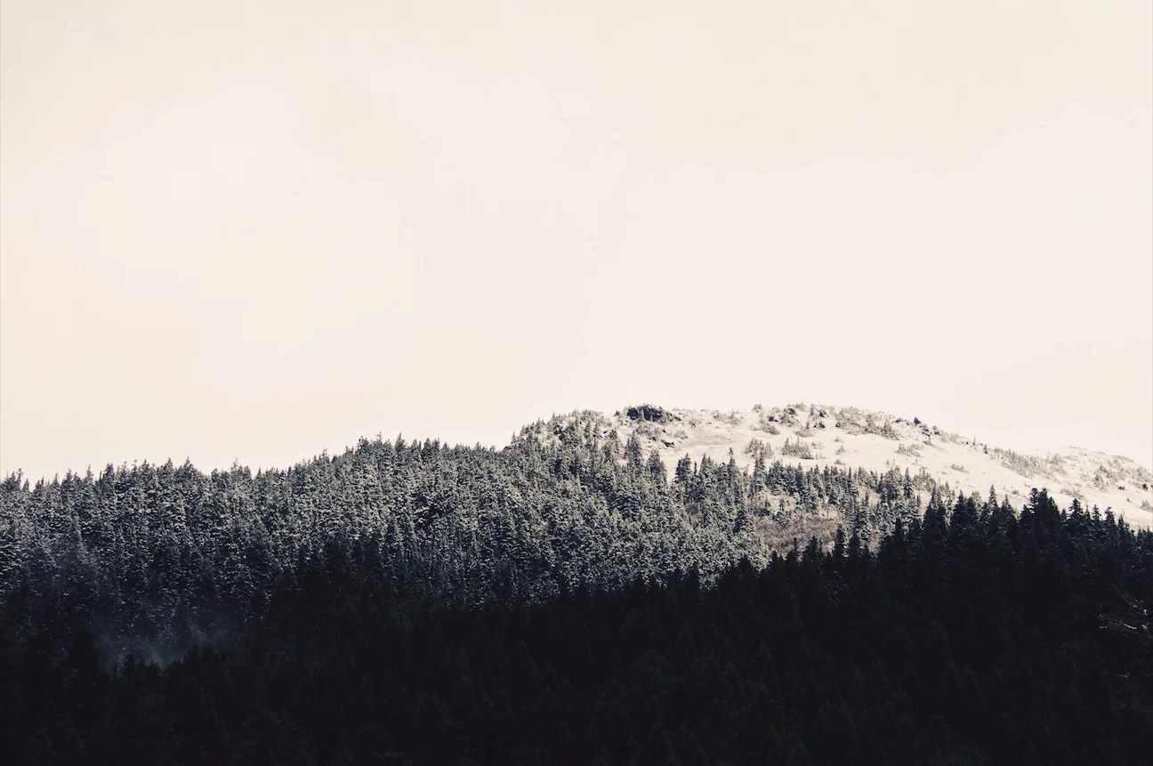 The Adventures of Keri Melich and Carol the Carolla