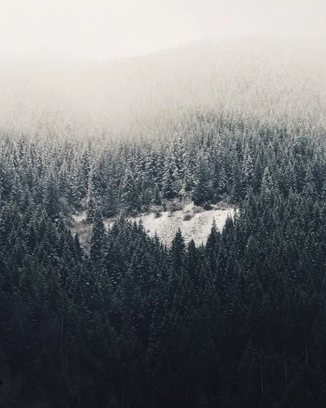 I always look for this little patch of snow or meadow every time i drive to mount hood. Have you spotted it before?