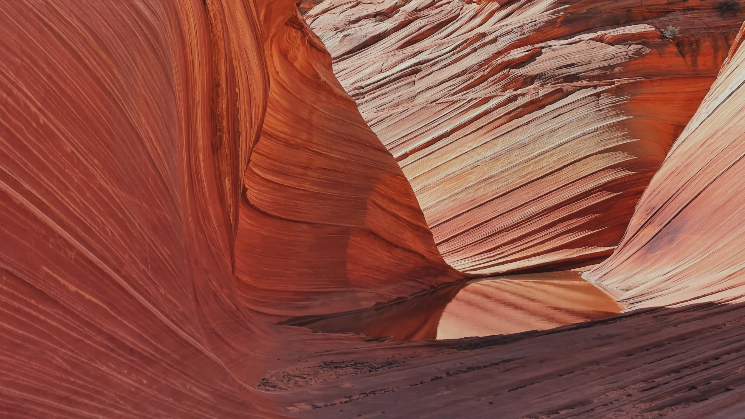 The Wave, Arizona