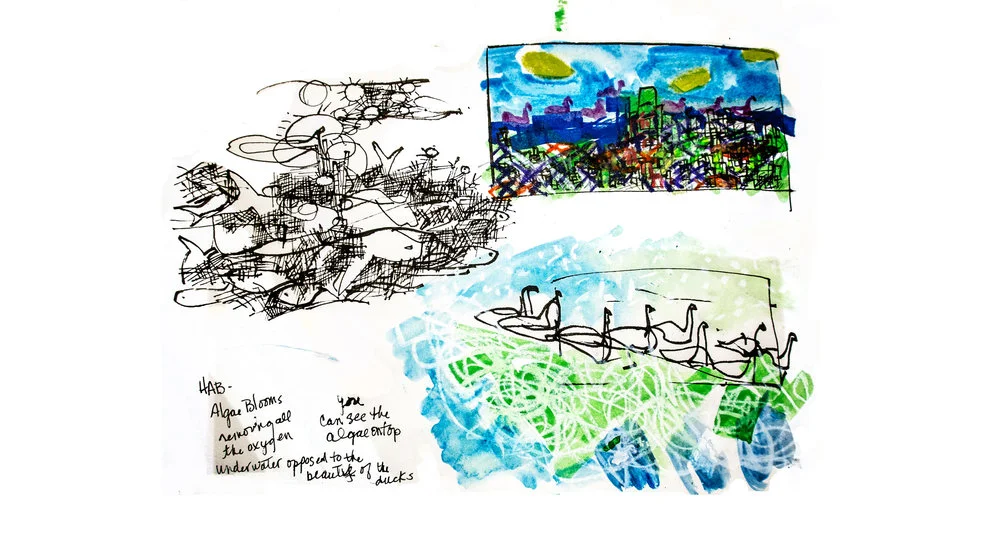 Drawings of Millers Pond.